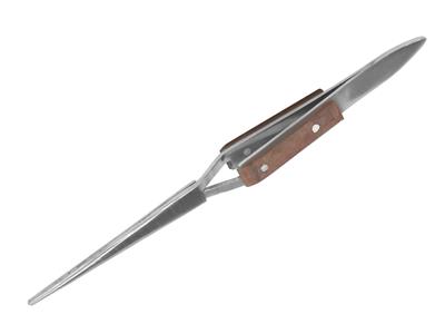 Brucelle croisée à pointes